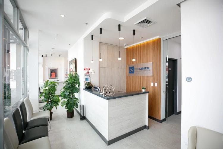 DDS Dental interior